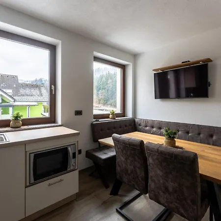 Hrastnica Апартаменты *