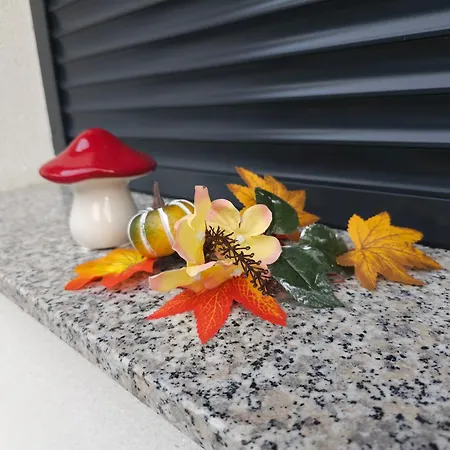 Hrastnica Apartamento *