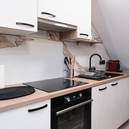 Hrastnica Apartment *